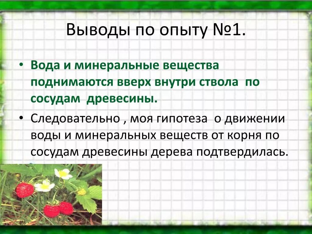 Опыт движение воды по сосудам. Передвижение веществ воды и Минеральных веществ по сосудам древесины. Движение воды и веществ по сосудам древесины опыт. Вывод практической работы передвижение воды и Минеральных веществ. Вывод химия 7 класс