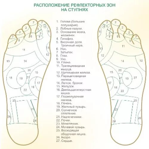 Карта в стопе метро. Расположение рефлекторных зон на ступнях. Массажные точки на подошве ног. Массаж стоп схема. Схема массажа стопы ног.