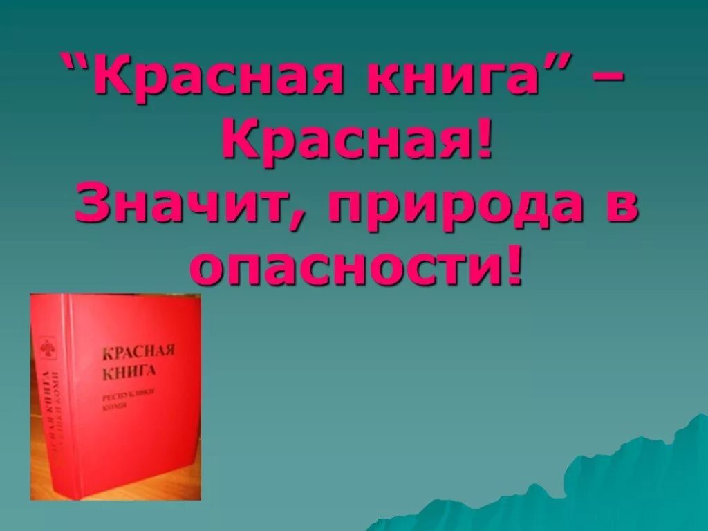 Красная книга принята