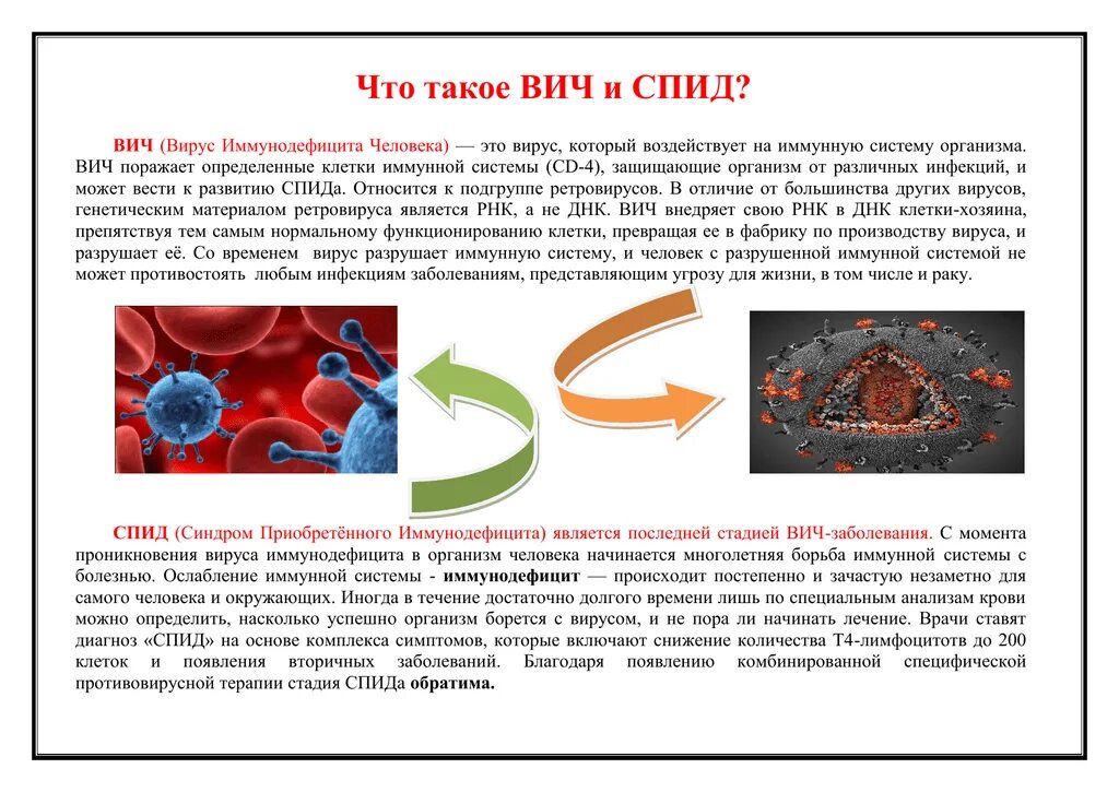 ВИЧ. СПИД. СПИД кратко. Вирус иммунодефицита человека (ВИЧ / СПИД). Лабораторная работа по биологии спид и гепатит