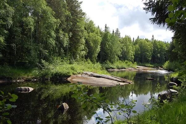 Погода в вирандозере