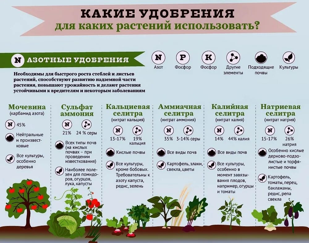 Какие овощи подкармливают. Удобрения для растений. Шпаргалка для огородника. Подкормка растений таблица. Таблица удобрений для дачника.
