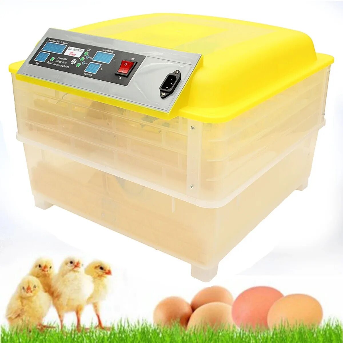 Fully automatic egg incubator