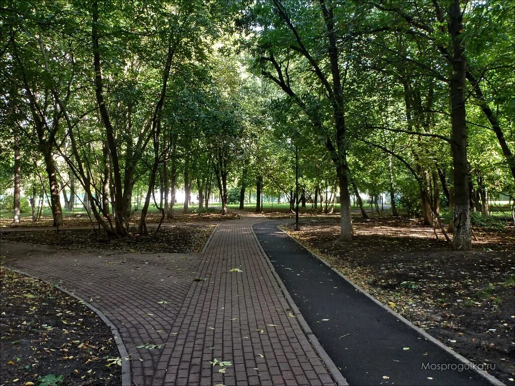 Парк черемушки. Черемушкинский парк Москва. Парк новые Черемушки. Тенистый парк Тенистый парк. Черемушки Московская область парк.