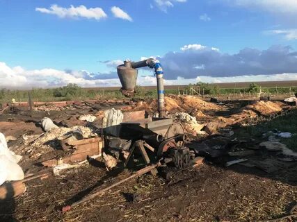 Погода зубочистка первая на 10 дней