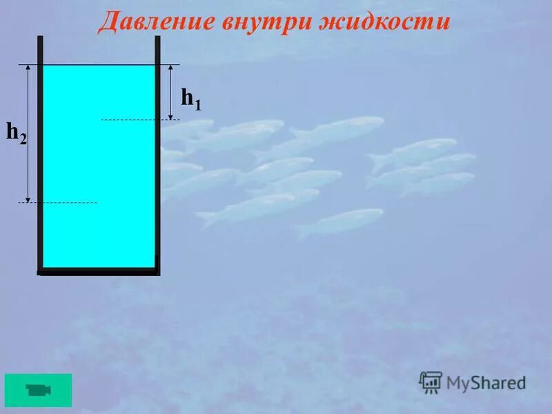 Давление внутри жидкости. Жидкость внутри. Давление внутри жидкости формула. Сообщение давление внутри жидкости.