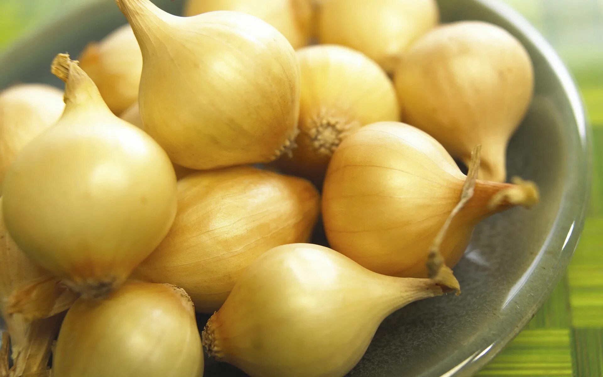 Маленькие луковицы лука. Лук-севок стардаст. Лук репчатый на белом фоне. Лук севок шетана. Лук севок мячковский.