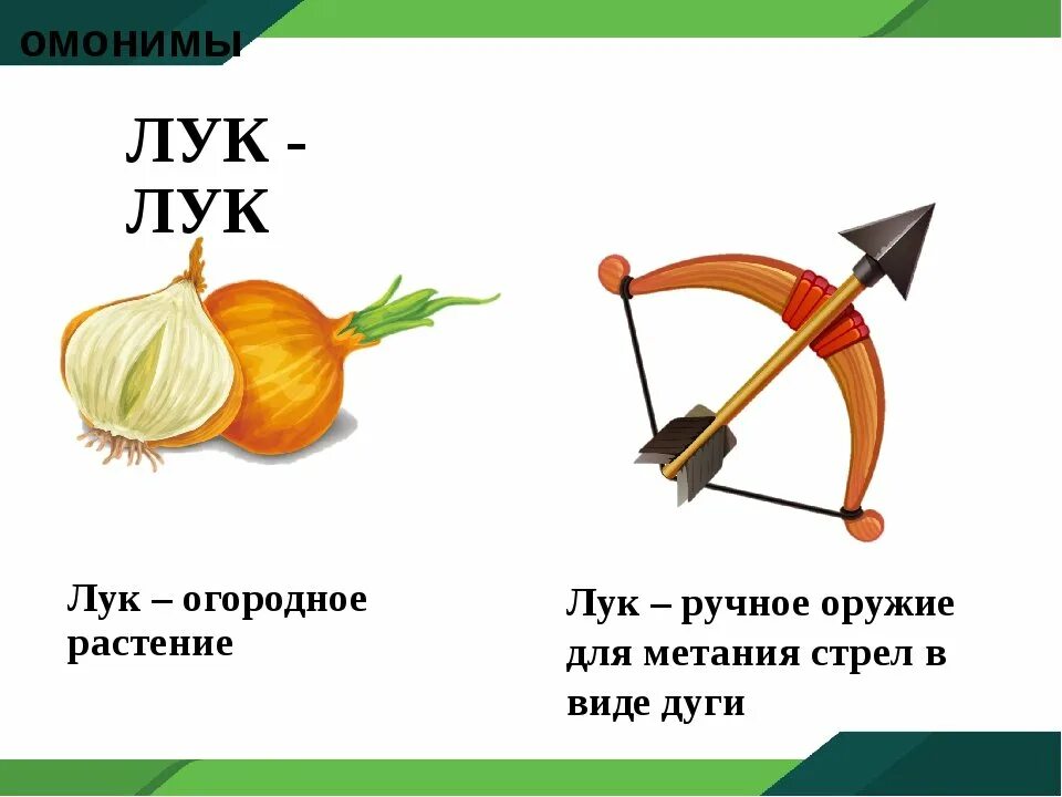 Лук для детей. Что означает слово луки. Презентация на тему лук. Лук и лук омонимы. Лук овощ.