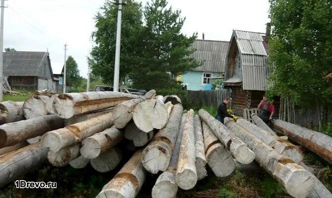 Срубы домов на вывоз
