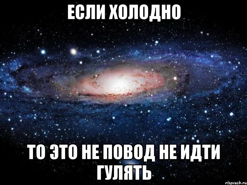 Идем гулять. Пошли гулять. Идем гулять надпись. Пойдем погуляем. Почему пойдем гулять