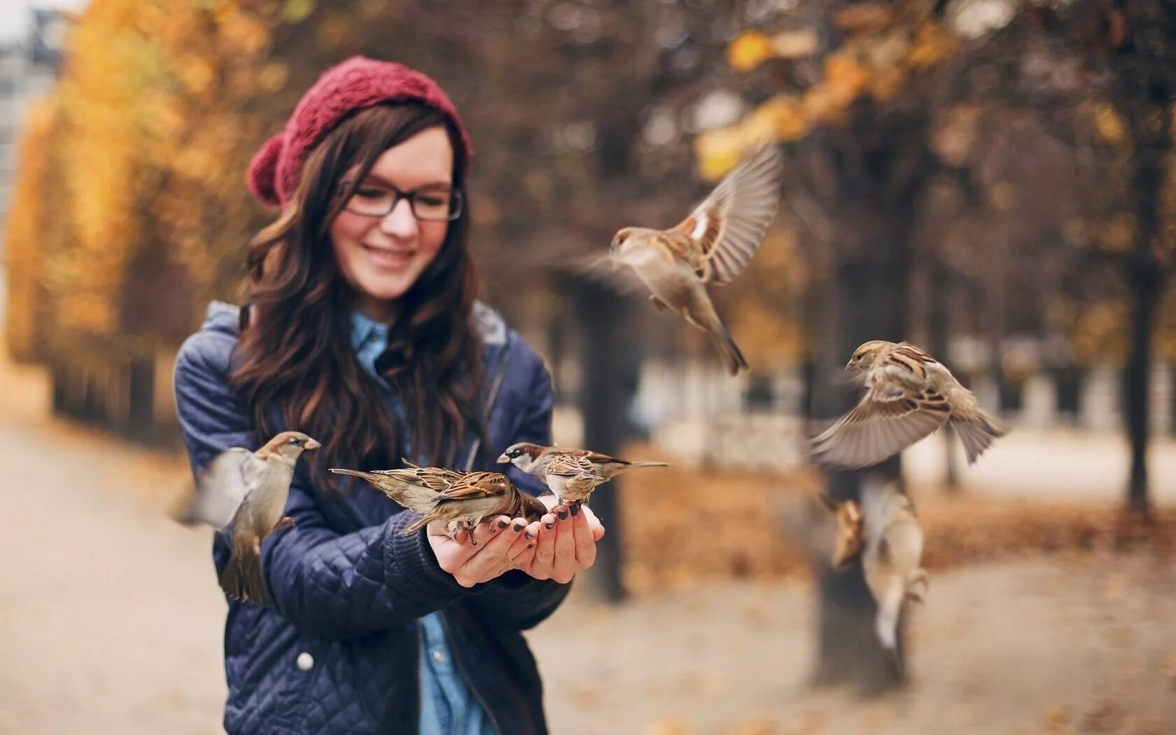 Человек птица. Девочка с птичкой. Девушка птица. Кормление птиц. Birds депозит