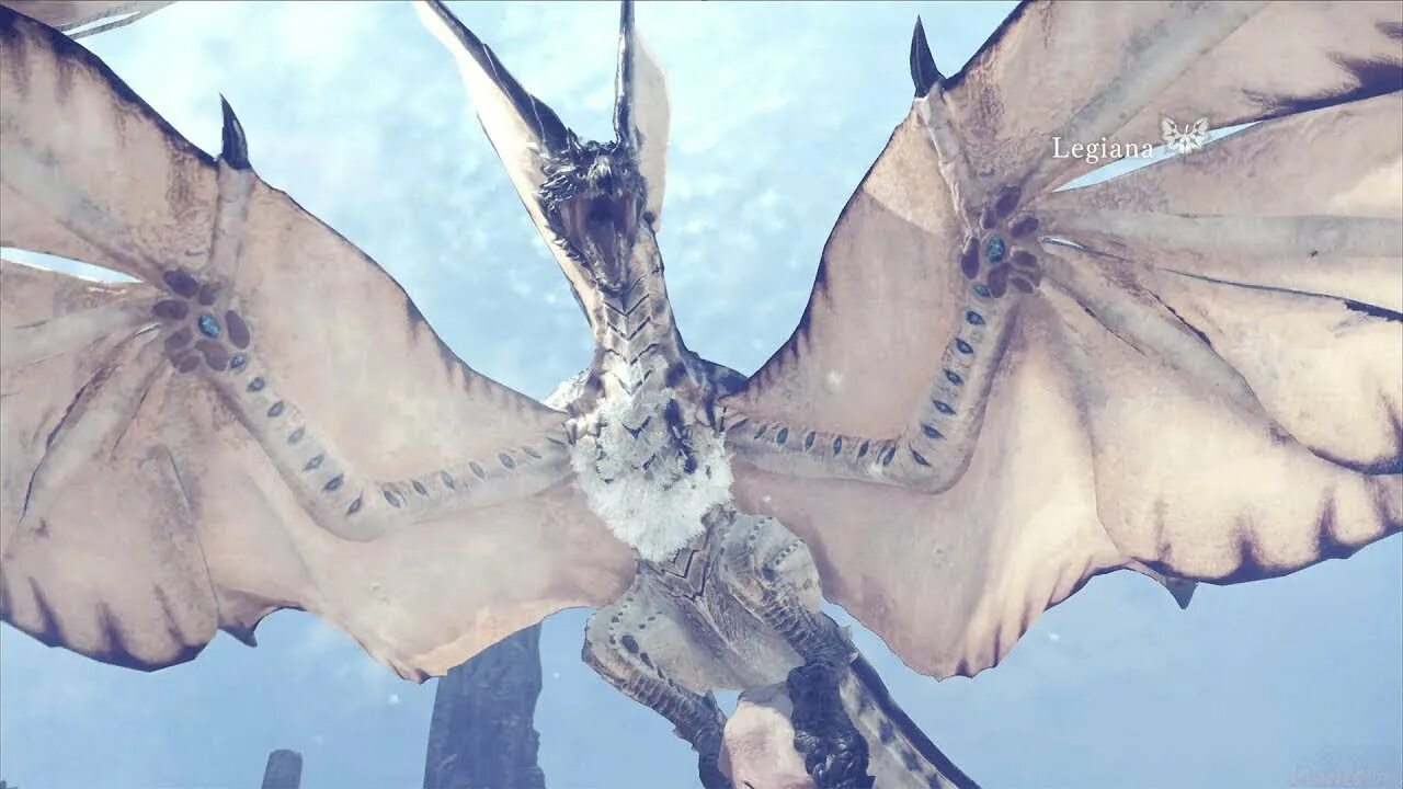 Легиана monster hunter. Legiana mhw. Monster hunter world легиана арт. Monster hunter world легиана арт. Monster hunter world legiana.