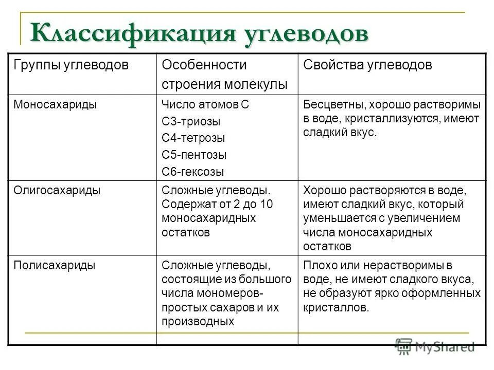 Структура и функция пример