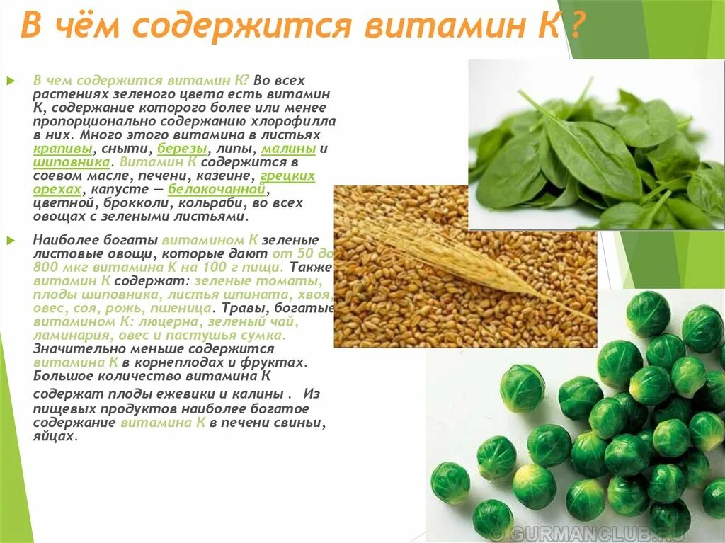 Семена бобовых содержат много. Витамин а содержится. Зеленые витамины. Растения богатые витаминами k. В чём содержится витамин а.