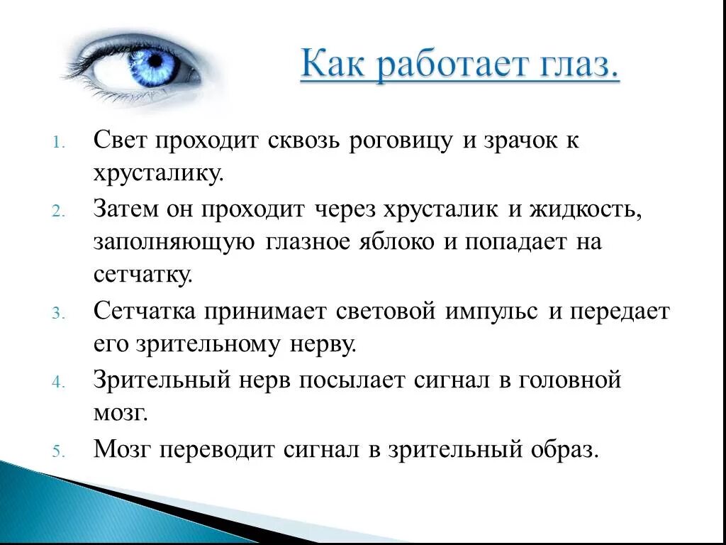 Впр глаз. Схема работы глаза. Работа глаза человека. Принцип работы глаза человека. Принцип работы зрения человека.