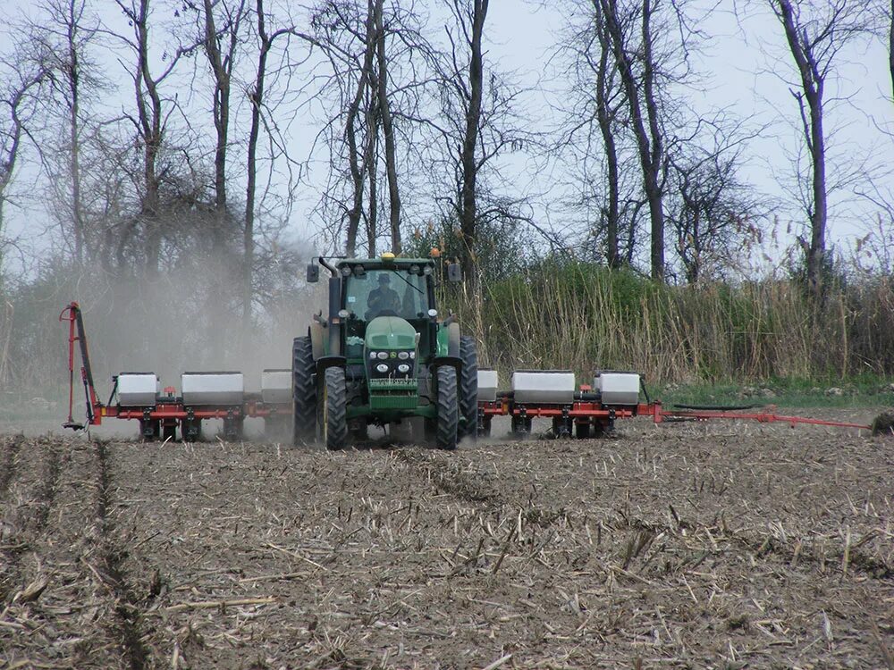 Как посеять кукурузу. Посев кукурузы на силос. Узкорядный посев кукурузы. Посеять кукурузу. Подготовка почвы для посева кукурузы.
