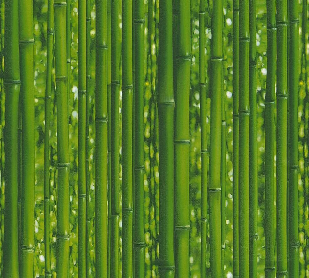 Дерево из бамбука. Полотно из бамбука. Текстура дерева. Зеленый бамбук. Ствол бамбука.