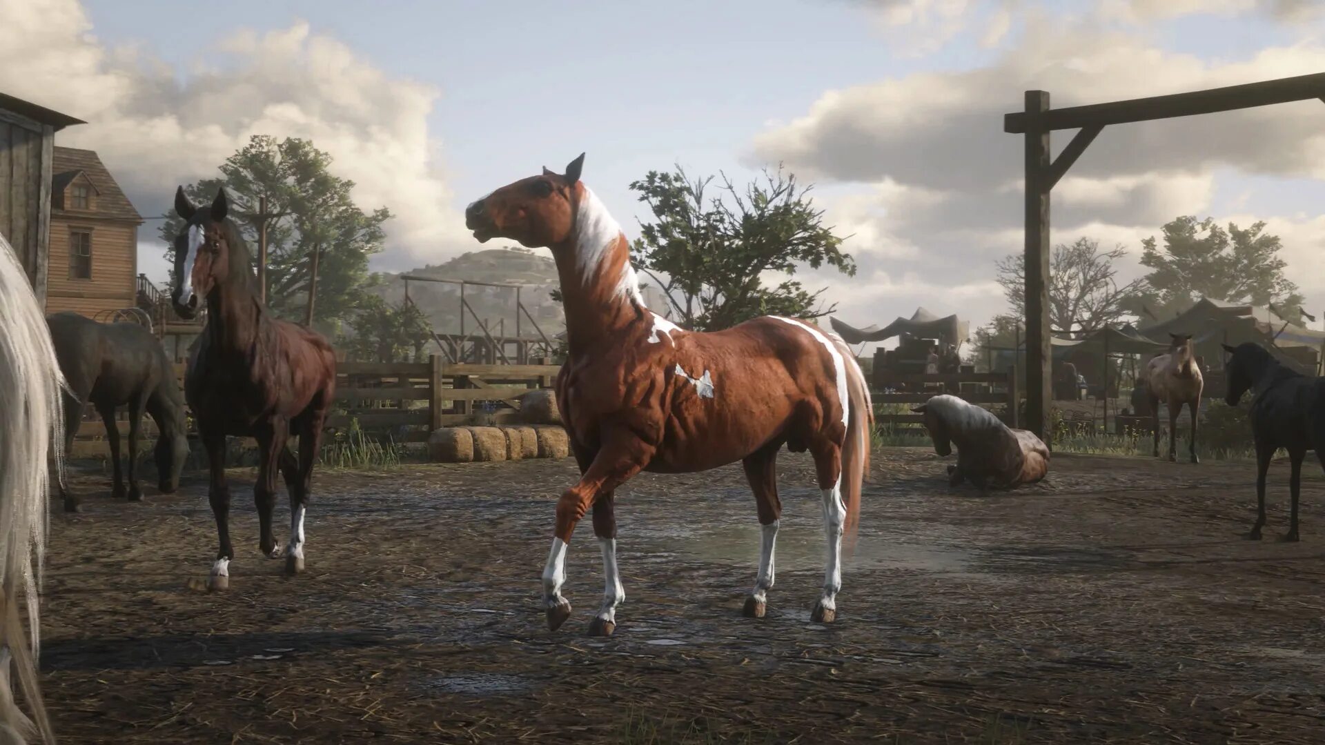 I and my horse 2