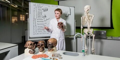 Трасолог