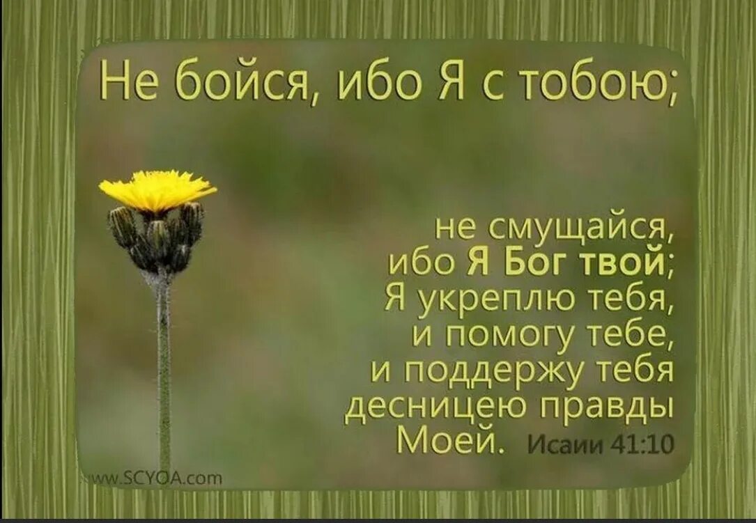 Бог в твоей жизни. Стихи из Библии. Христианские цитаты. Библейские цитаты. Христианские открытки с высказываниями.