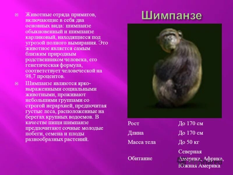 Гепард самое быстрое животное. Какое животное является наиболее. Травоядные. Исчезающие виды животных. Животные южной америки для детей.