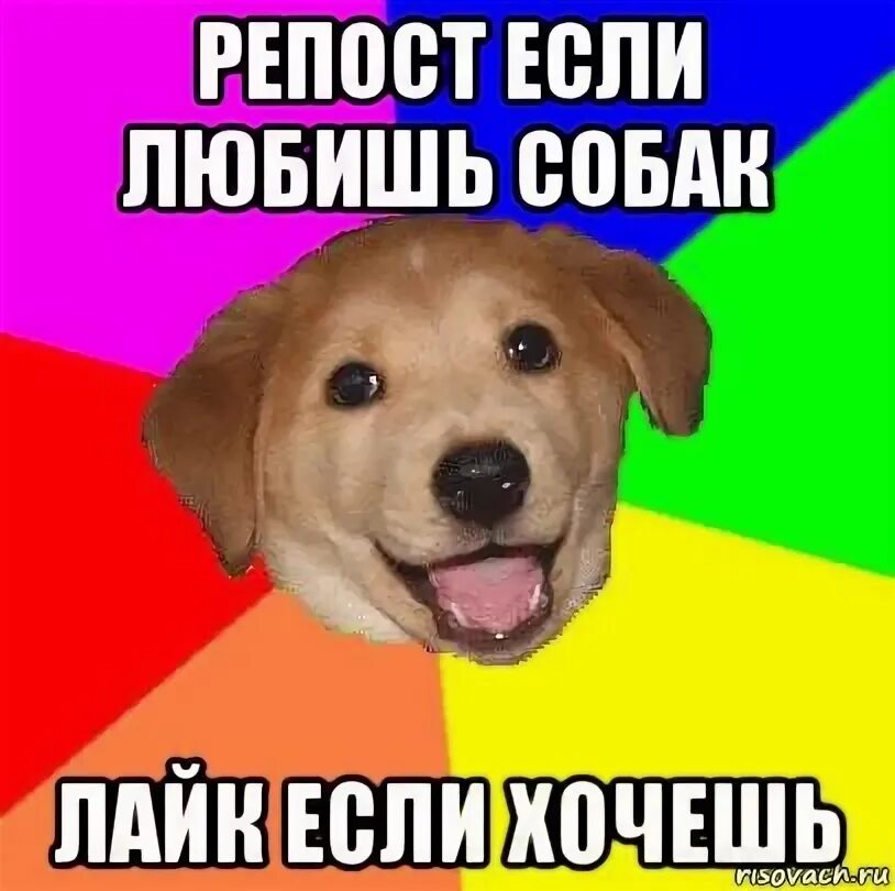 Какой репост. Репост если. репост если любишь. репосты мемы. репост мем.