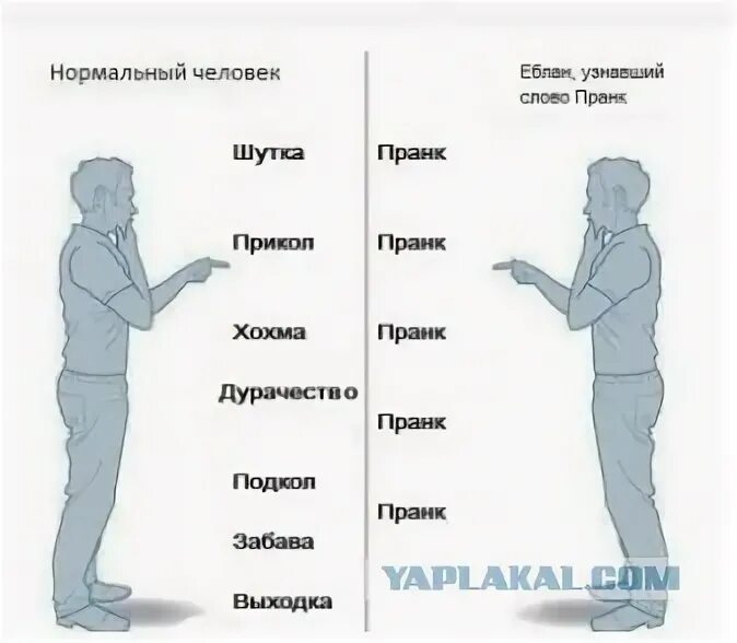 Программа нормальные люди