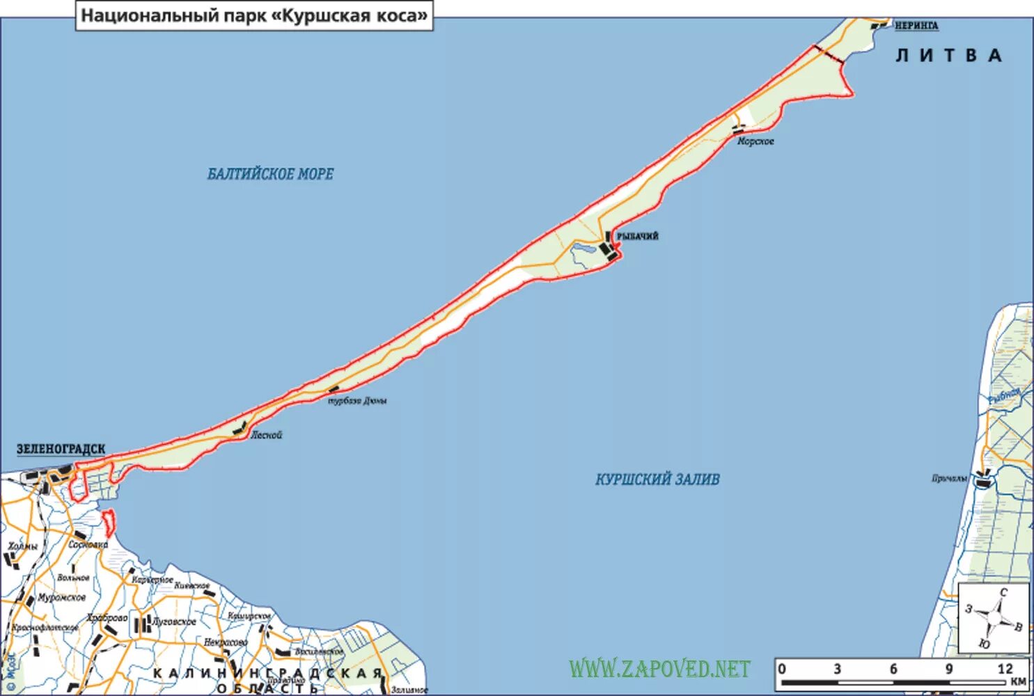 Зеленоградск коса расписание. Куршская коса карта географическая. П Морское Куршская коса. Куршская коса на карте Калининградской. Куршская коса это полуостров.