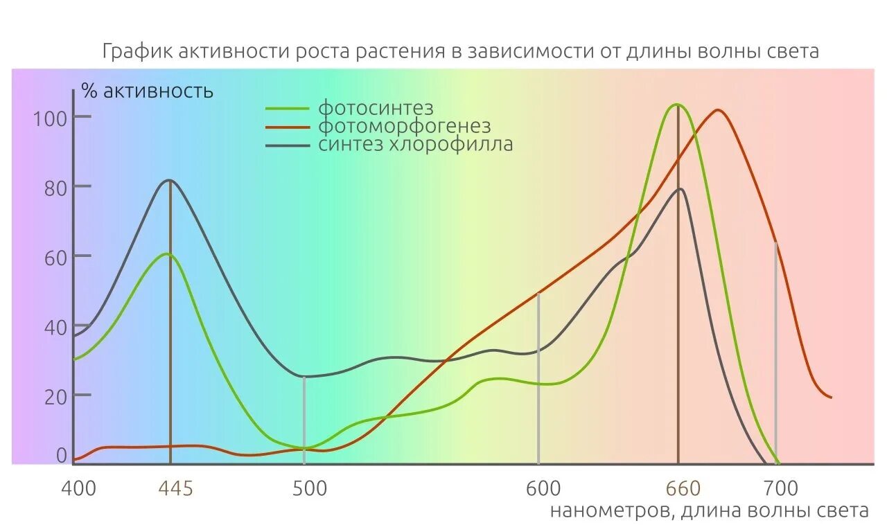 Спектр света. Спектр света для марихуаны. Световой спектр для растений. График активности.