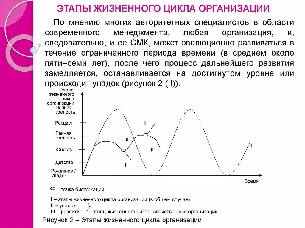 Жизненные стадии компании