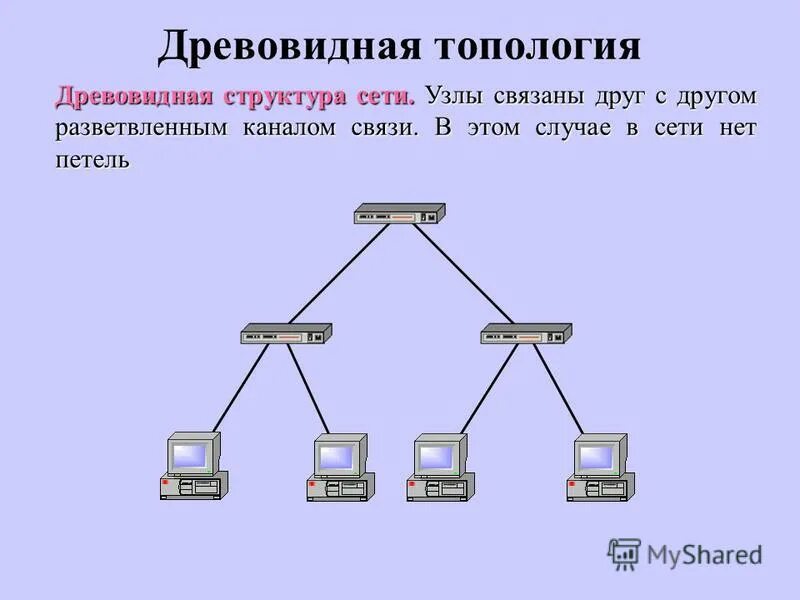 Иерархическая звезда топология сети. Древовидная структура топология. Структура компьютерной сети.