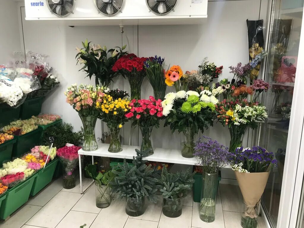 липецк магазин цветторг 48. цветторг липецк каталог товаров. цветторг на магистральной тамбов. цветторг рассказово. цветторг липецк.