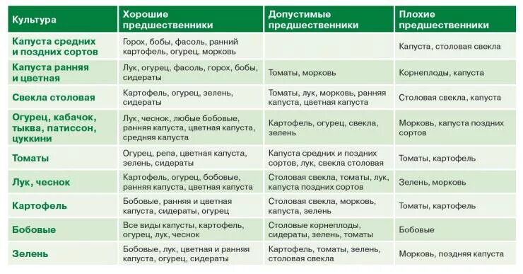 После каких культур можно сажать капусту. Таблица севооборота овощных культур и сидератов. Что можно сажать после капусты на следующий год в открытом грунте. Лучшие предшественники для капусты. Что сажать после капусты.