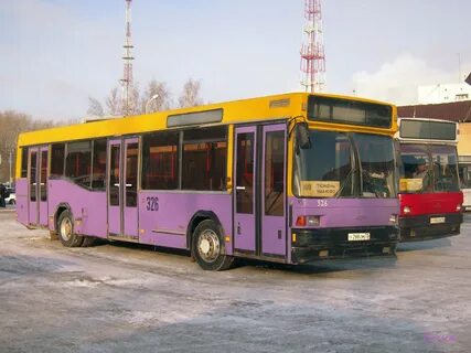 Тюменская область автобусы