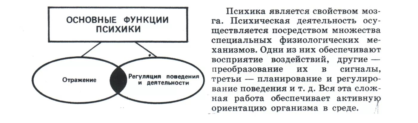 Психика человека структура функции. Функции психики схема. основные функции психики. функции психики в психологии. функции психики таблица.