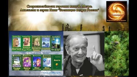 Мегре кедры