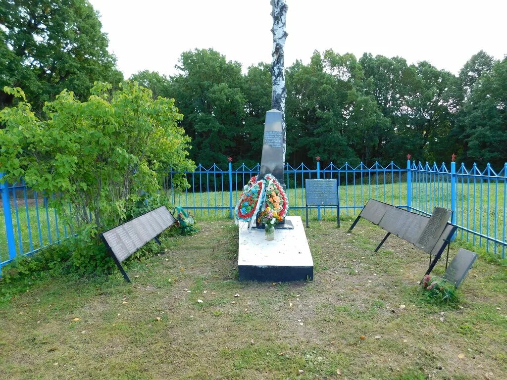 Деревня трубино ржевский район тверская область. Кокошкино ржевский район. Карта ржева и ржевского района. Погорелки ржевский район. Тверской обл ржевский р н.