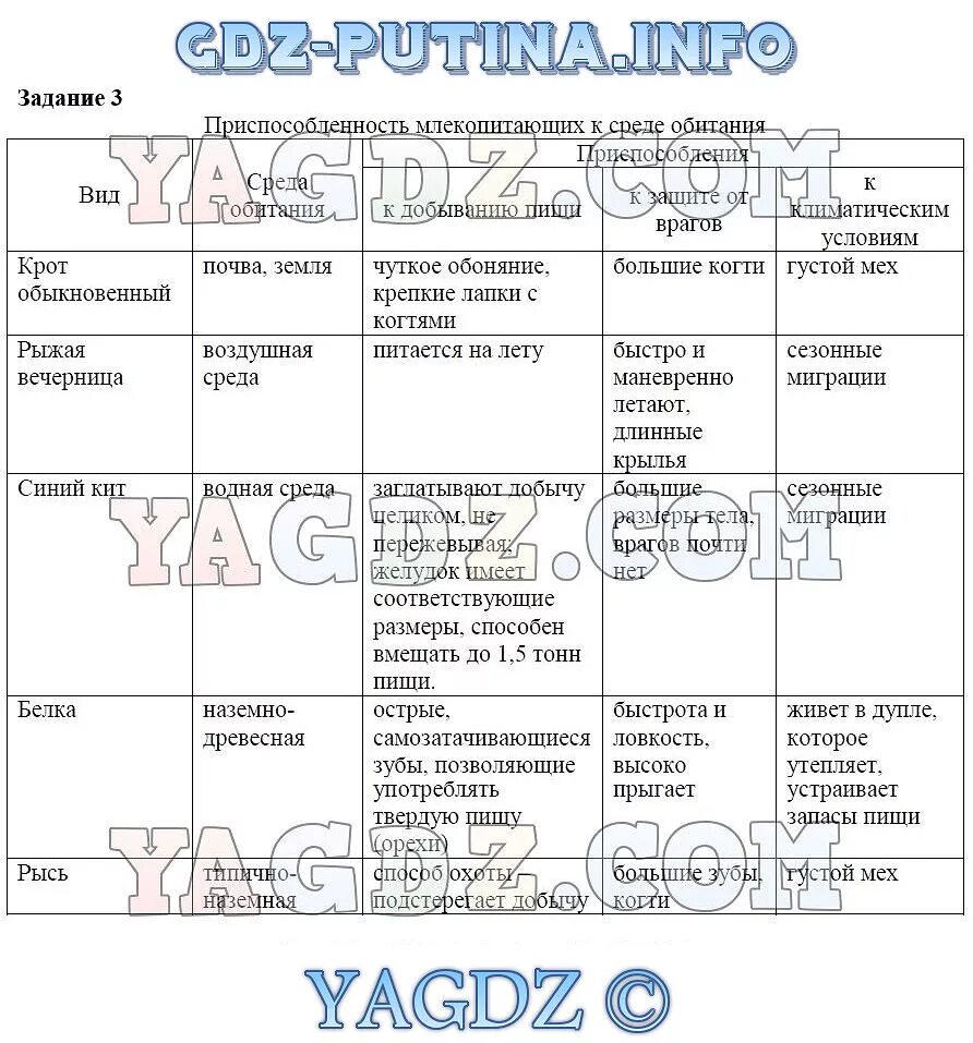 Таблица по птицам 8 класс. Таблица группы млекопитающих 7 класс биология. Экологические группы млекопитающих таблица 7 класс биология таблица. Сводная таблица млекопитающих биология 7 класс. Экологические группы млекопитающих таблица 7 класс биология.