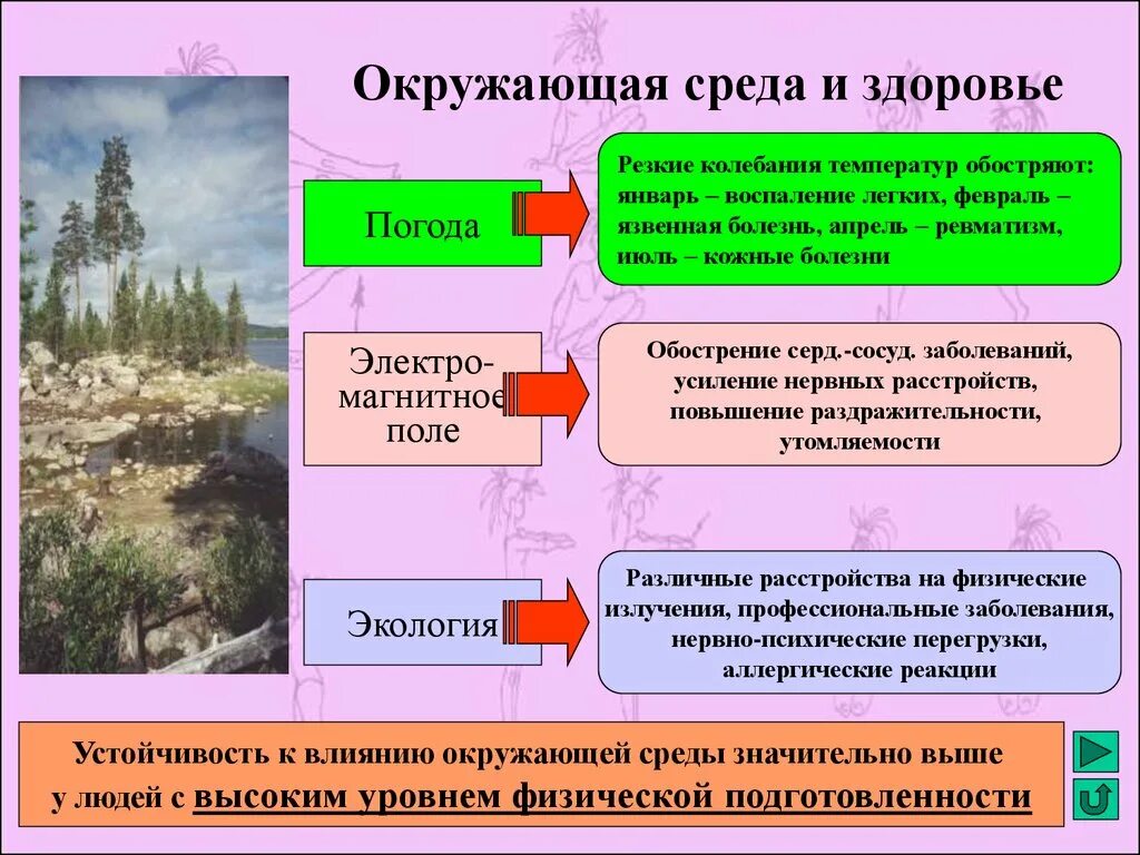 Доклад влияние окружающей среды. Здоровье и окружающая среда. Окружающая среда и здоровье человека. Организм и окружающая среда. Окружающая среда и здоровье презентация.