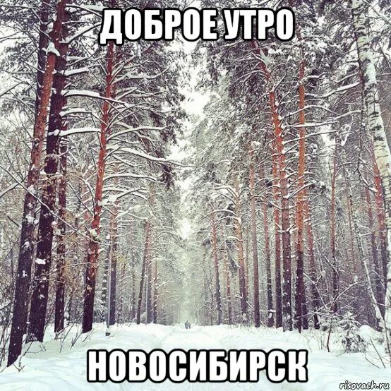 Доброе утро meme. Мастер йода да пребудет с тобой сила. Открытки с добрым утром мемы. Доброе утро мем. С добрым утром мем.