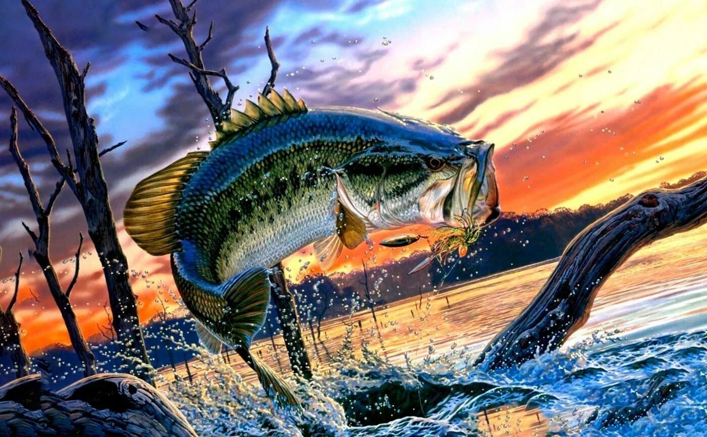 Картины на тему рыбалка. Обои рыбалка. Рыбалка картинки красивые. Рыбалка рисунок. Автор щука