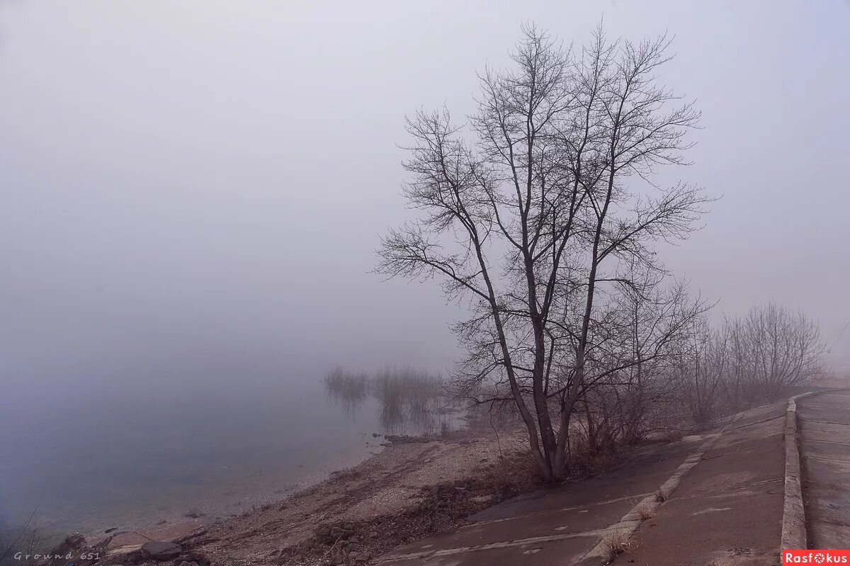 В тумане берег не виден