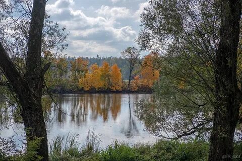 Старица реки москвы