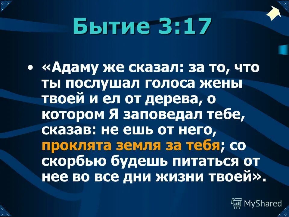 Вечный завет. Концепции бытия в философии. Бытие 1:3. Бытие 1 глава толкование. Бытие 17 толкование.