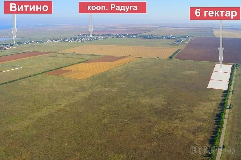 Два гектара. 2 гектара. 2 гектара фото. днт радуга витино. между молочным и витино.