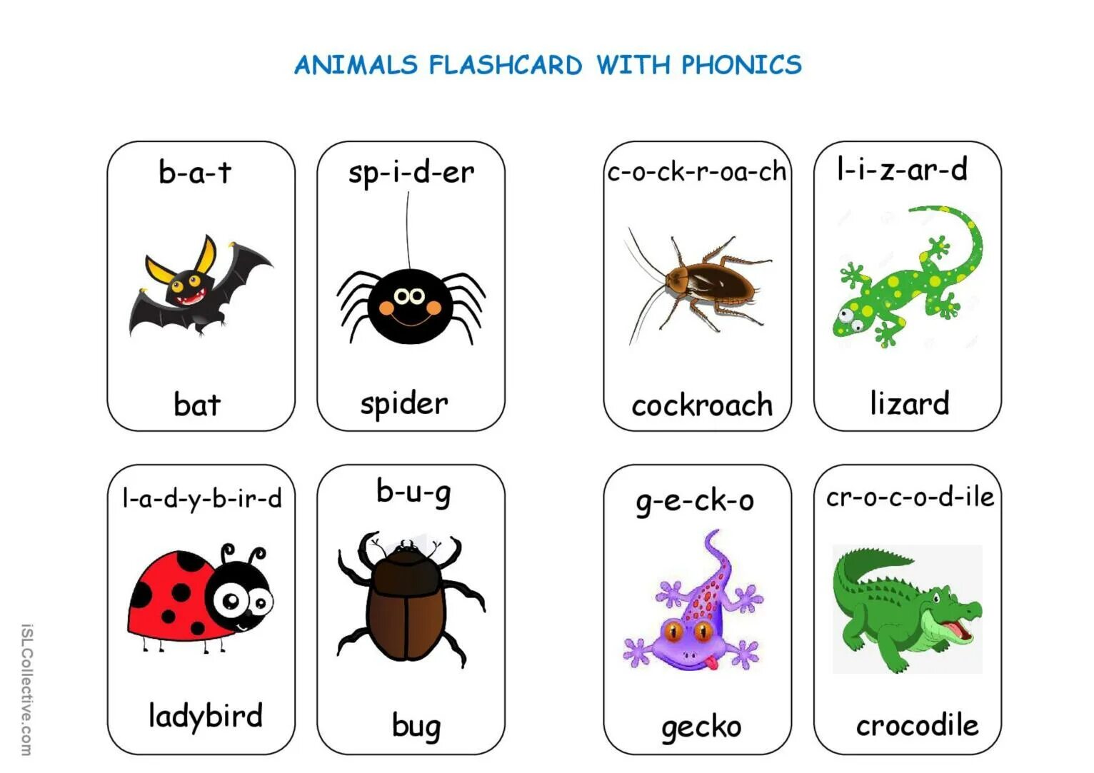 Do they like animals. Spider карточка на английском. Animals for Kids карточки. Cards for Kids. Bugs Flashcards for Kids.