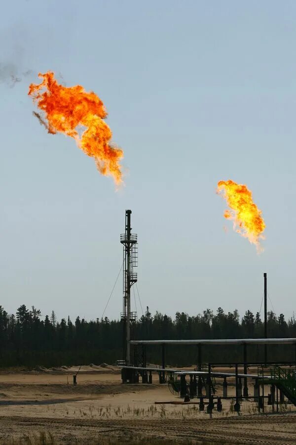 Сжигание нефтяного газа в факелах. Факел сжигания попутного газа. Факел попутного нефтяного газа. Газовый факел на месторождении. Факел на месторождении нефти.