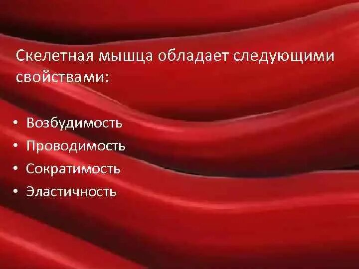 Обладает свойствами возбудимости и сократимости. Характеристика скелетных мышц. Какими свойствами обладают скелетные мышцы. Скелетная мышца обладает свойствами. Скелетные мышцы не обладают свойством.