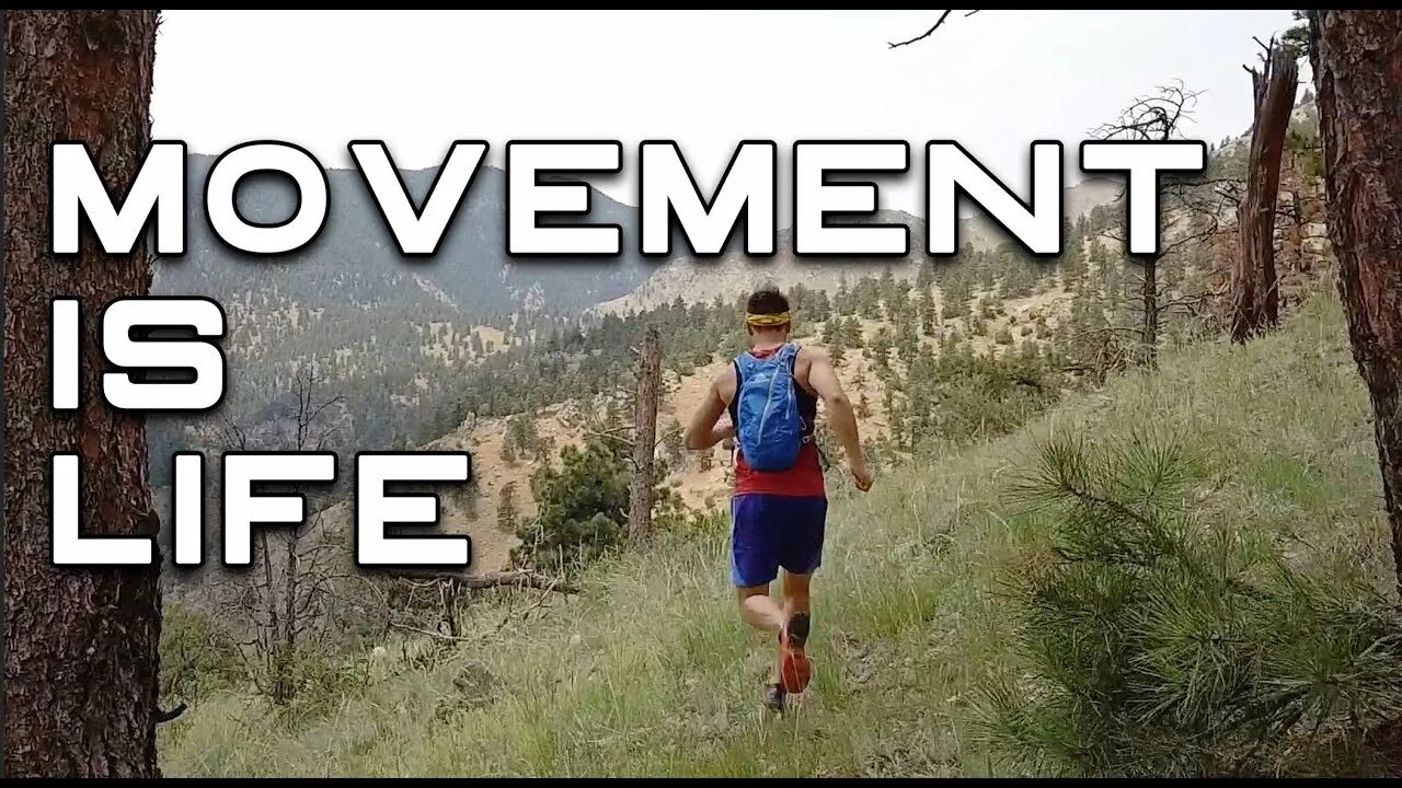 That it is a movement. Movement is life. движение это жизнь картинки. new life movement. movement is life росписью.
