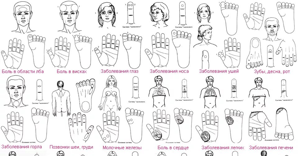 сам себе су джок доктор